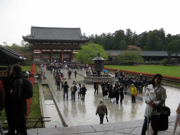 Zdjęcie z Japonii - Nara