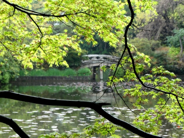 Zdjęcie z Japonii - Kyoto