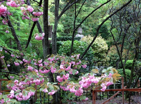 Zdjęcie z Japonii - Kyoto