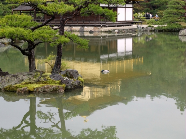 Zdjęcie z Japonii - Kyoto