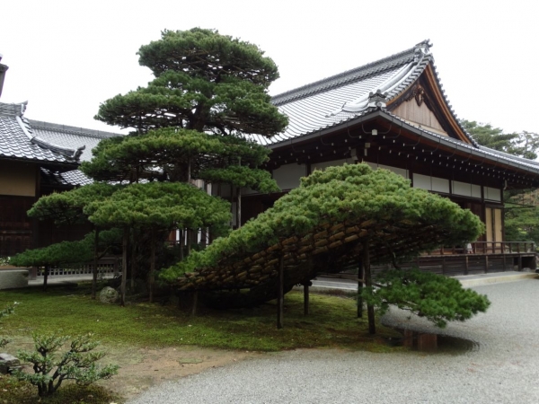 Zdjęcie z Japonii - Kyoto