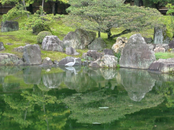 Zdjęcie z Japonii - Kyoto