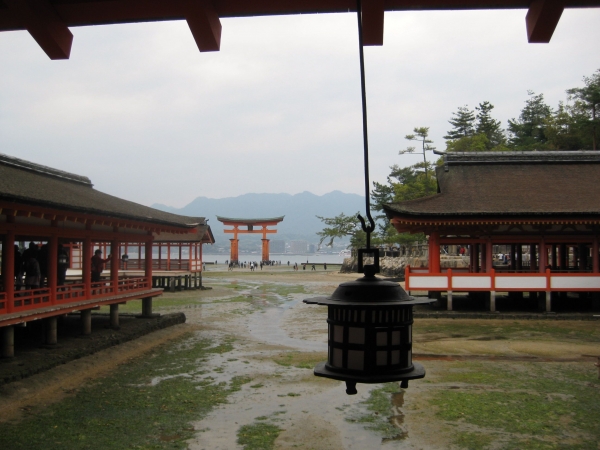 Zdjęcie z Japonii - Miyajima