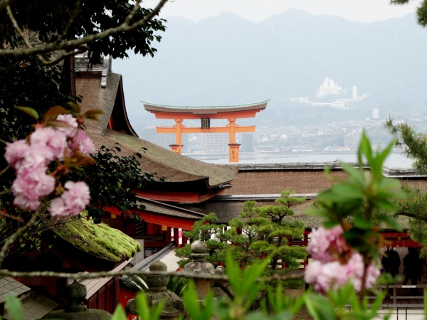 Zdjęcie z Japonii - Miyajima