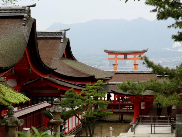 Zdjęcie z Japonii - Miyajima