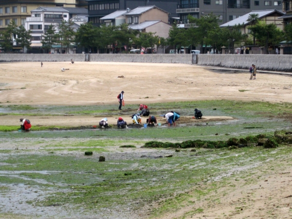 Zdjęcie z Japonii - Miyajima