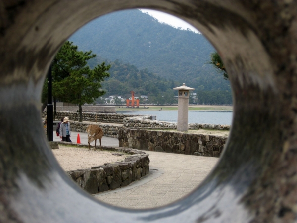 Zdjęcie z Japonii - Miyajima