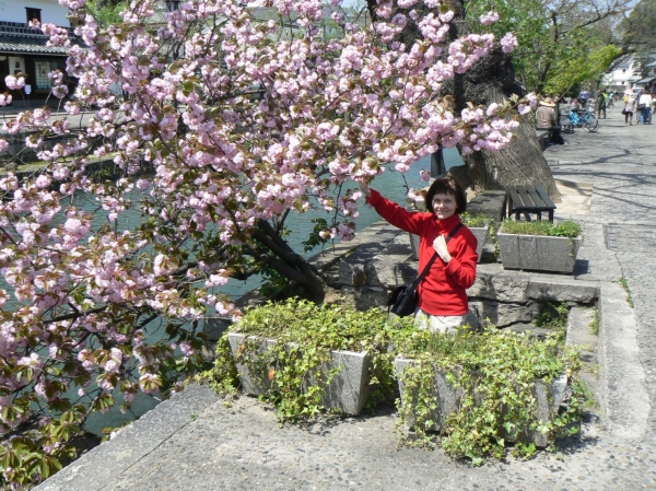 Zdjęcie z Japonii - Kurashiki