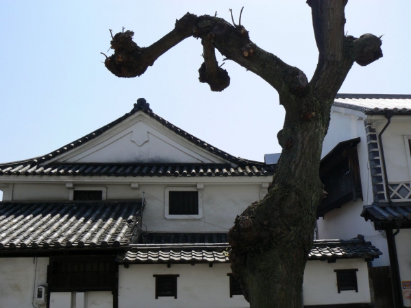 Zdjęcie z Japonii - Kurashiki