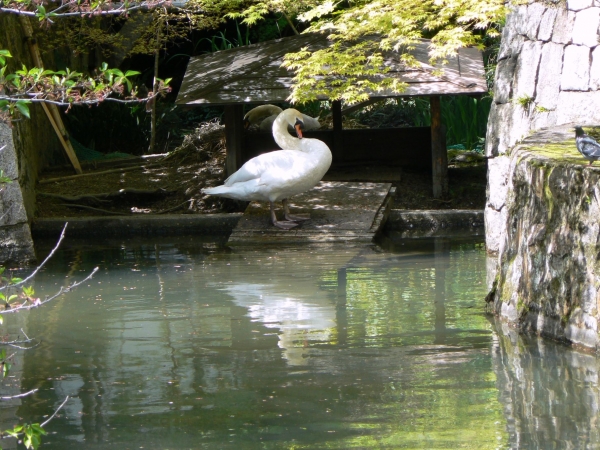 Zdjęcie z Japonii - Kurashiki