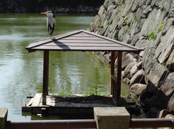 Zdjęcie z Japonii - Okayama