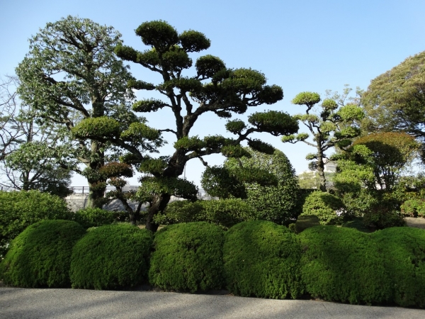 Zdjęcie z Japonii - Okayama