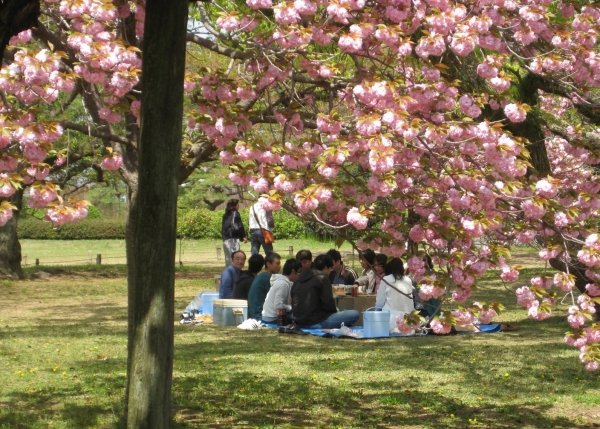 Zdjęcie z Japonii - Takamatsu