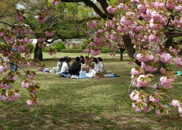 Zdjęcie z Japonii - Takamatsu