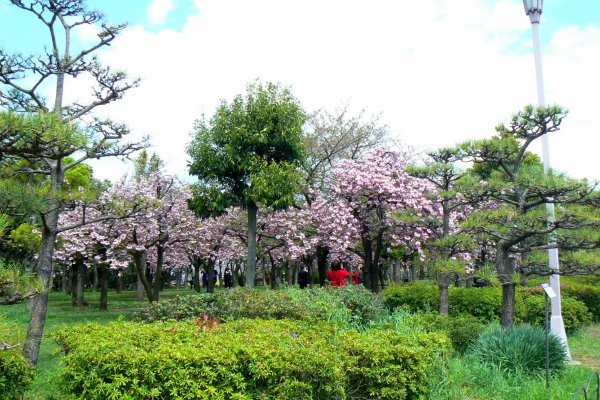 Zdjęcie z Japonii - Osaka