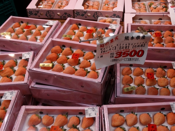 Zdjęcie z Japonii - Osaka