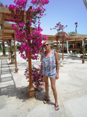 Zdjęcie z Egiptu - The Desert Rose Resort