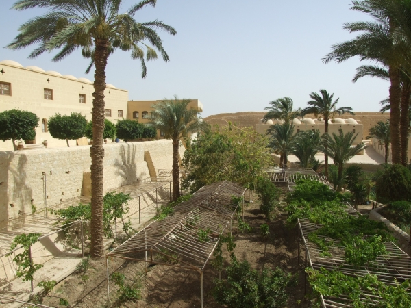 Zdjęcie z Egiptu - klasztorny ogród