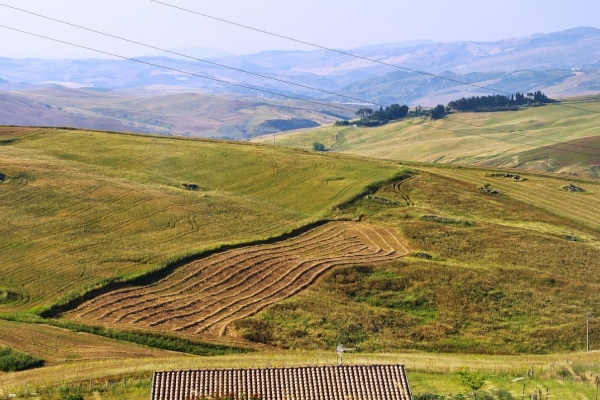 Zdjęcie z Włoch - miejscami wzgórza Miedonie bardzo przypominały mi Toskanię z okolic Chianti
