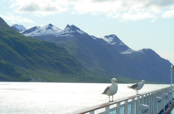 Zdjęcie ze Stanów Zjednoczonych - Glacier Bay