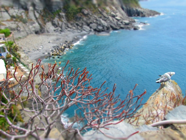 Zdjęcie z Włoch - Vernazza