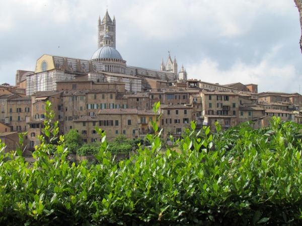 Zdjęcie z Włoch - Siena