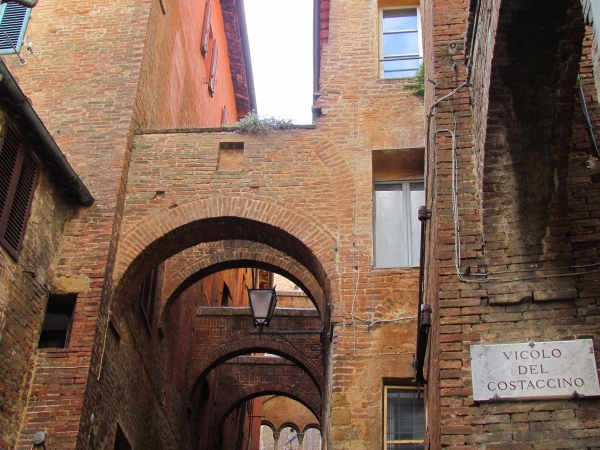 Zdjęcie z Włoch - Siena
