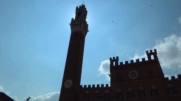 Zdjęcie z Włoch - Siena