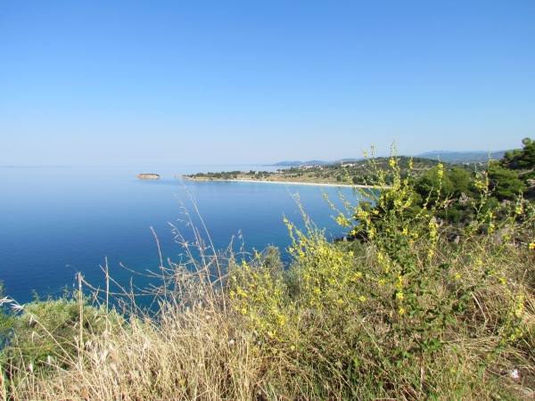 Zdjęcie z Grecji - Sithonia