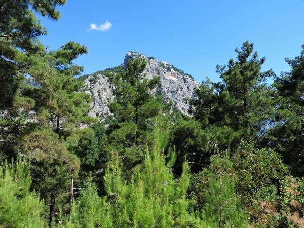 Zdjęcie z Turcji - Park Narodowy Beydaglari