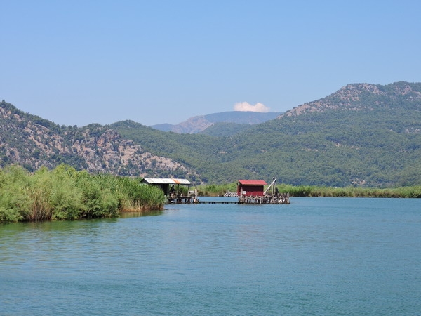 Zdjęcie z Turcji - Rejs po delcie Dalyan