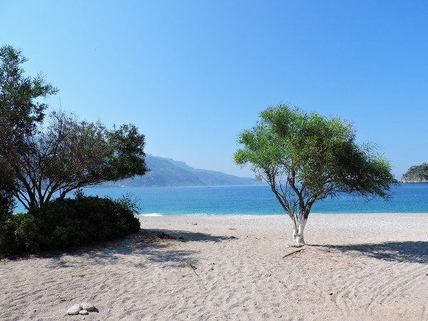 Zdjęcie z Turcji - Plaża w Oludeniz