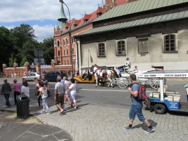 Zdjęcie z Polski - 