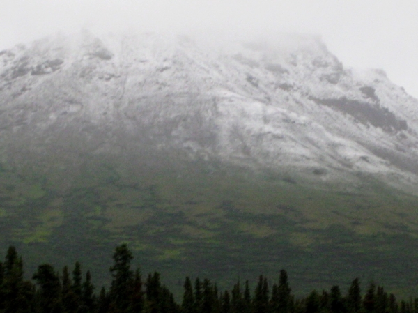 Zdjęcie ze Stanów Zjednoczonych - Denali N.P.