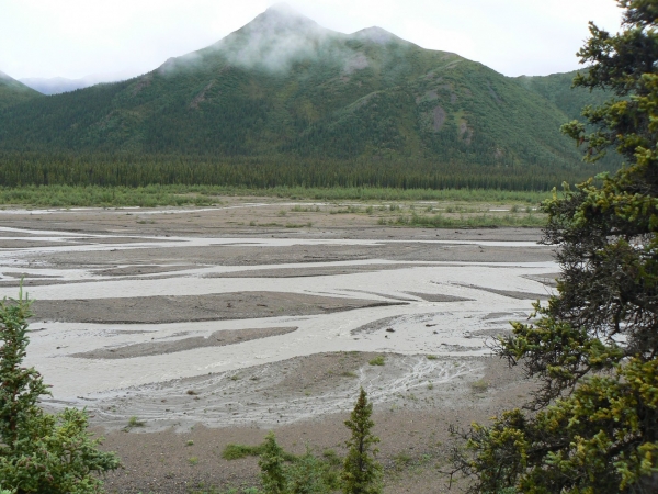 Zdjęcie ze Stanów Zjednoczonych - Denali N.P.