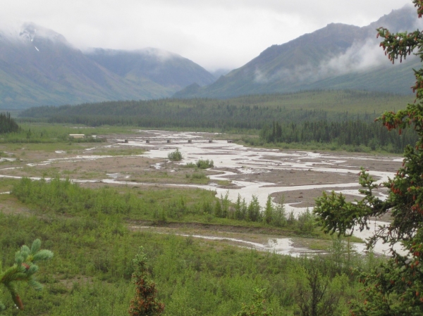 Zdjęcie ze Stanów Zjednoczonych - Denali N.P.