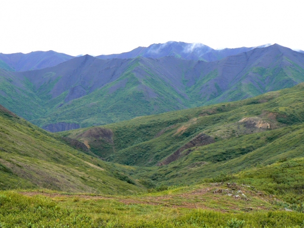 Zdjęcie ze Stanów Zjednoczonych - Denali N.P.