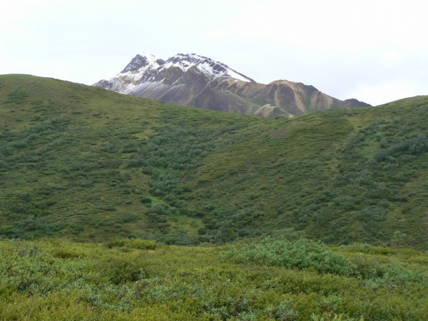 Zdjęcie ze Stanów Zjednoczonych - Denali N.P.