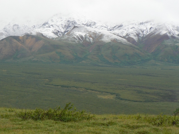 Zdjęcie ze Stanów Zjednoczonych - Denali N.P.