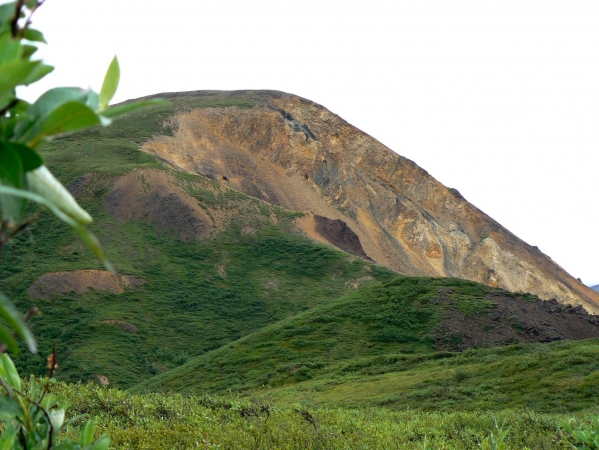 Zdjęcie ze Stanów Zjednoczonych - Denali N.P.