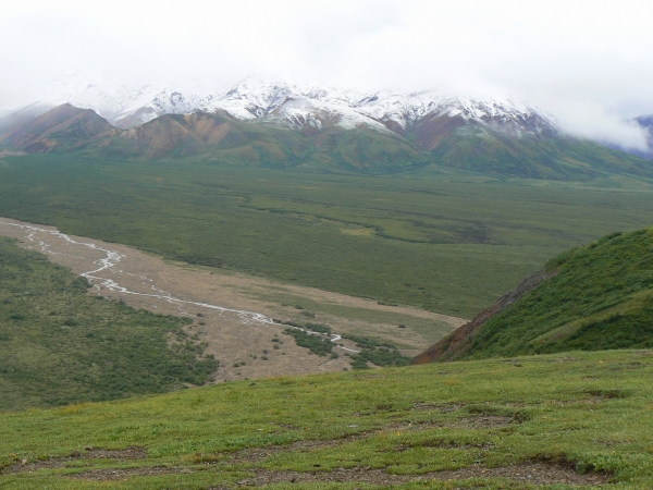 Zdjęcie ze Stanów Zjednoczonych - Denali N.P.