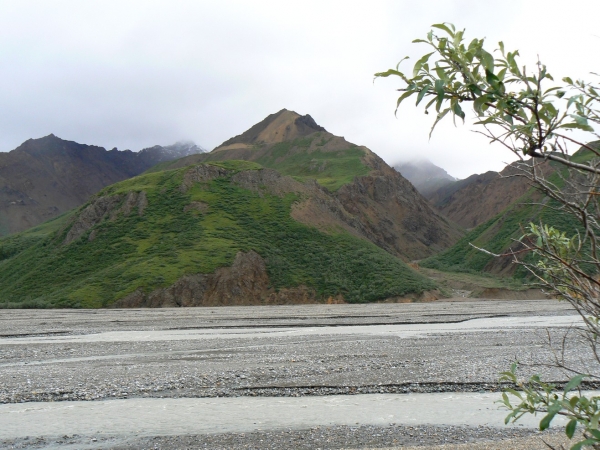 Zdjęcie ze Stanów Zjednoczonych - Denali N.P.