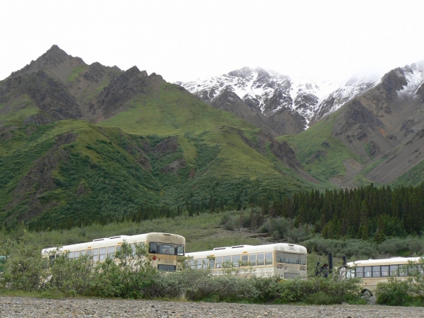 Zdjęcie ze Stanów Zjednoczonych - Denali N.P.