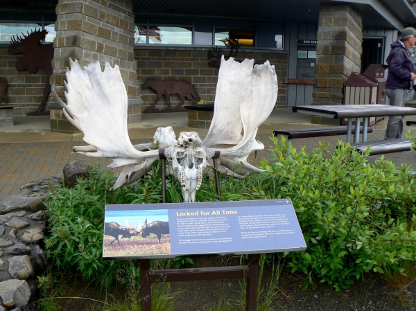 Zdjęcie ze Stanów Zjednoczonych - Eielson Visitor Center