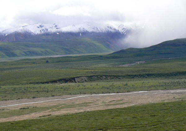 Zdjęcie ze Stanów Zjednoczonych - Denali N.P.
