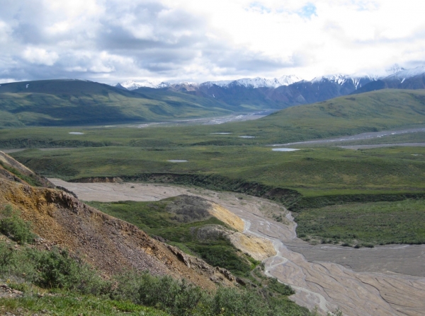 Zdjęcie ze Stanów Zjednoczonych - Denali N.P.