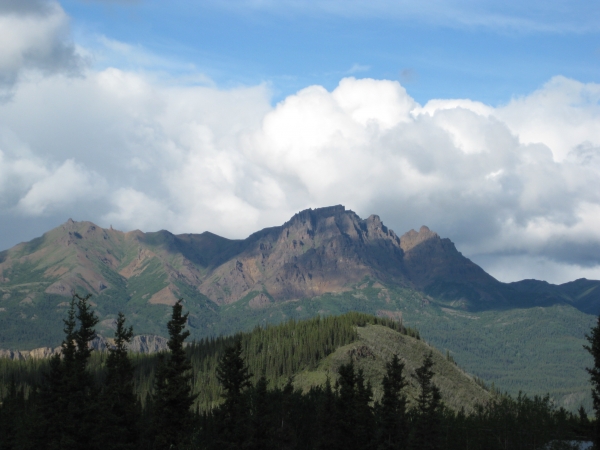 Zdjęcie ze Stanów Zjednoczonych - Denali 