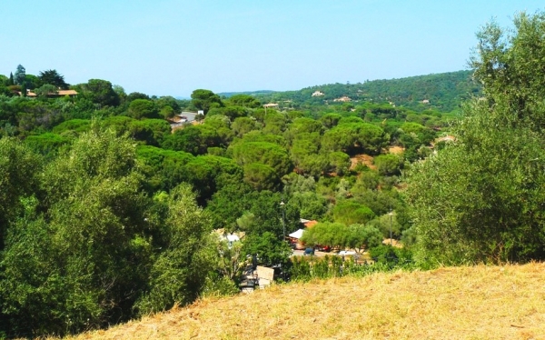 Zdjęcie z Francji - Widok z Ramatuelle
