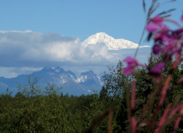 Zdjęcie ze Stanów Zjednoczonych - Mt McKinley