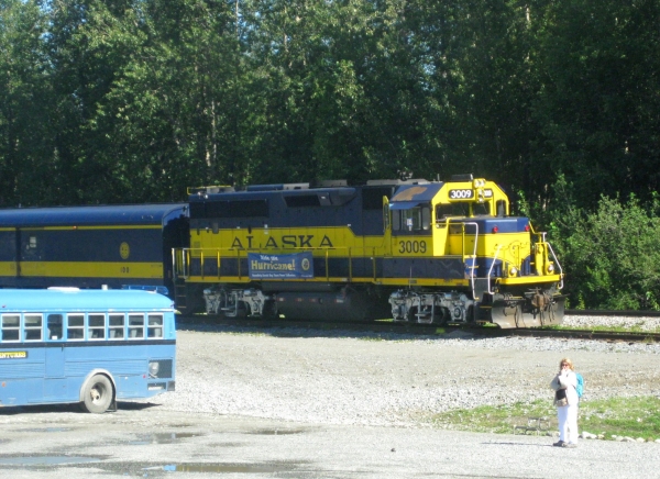 Zdjęcie ze Stanów Zjednoczonych - Talkeetna